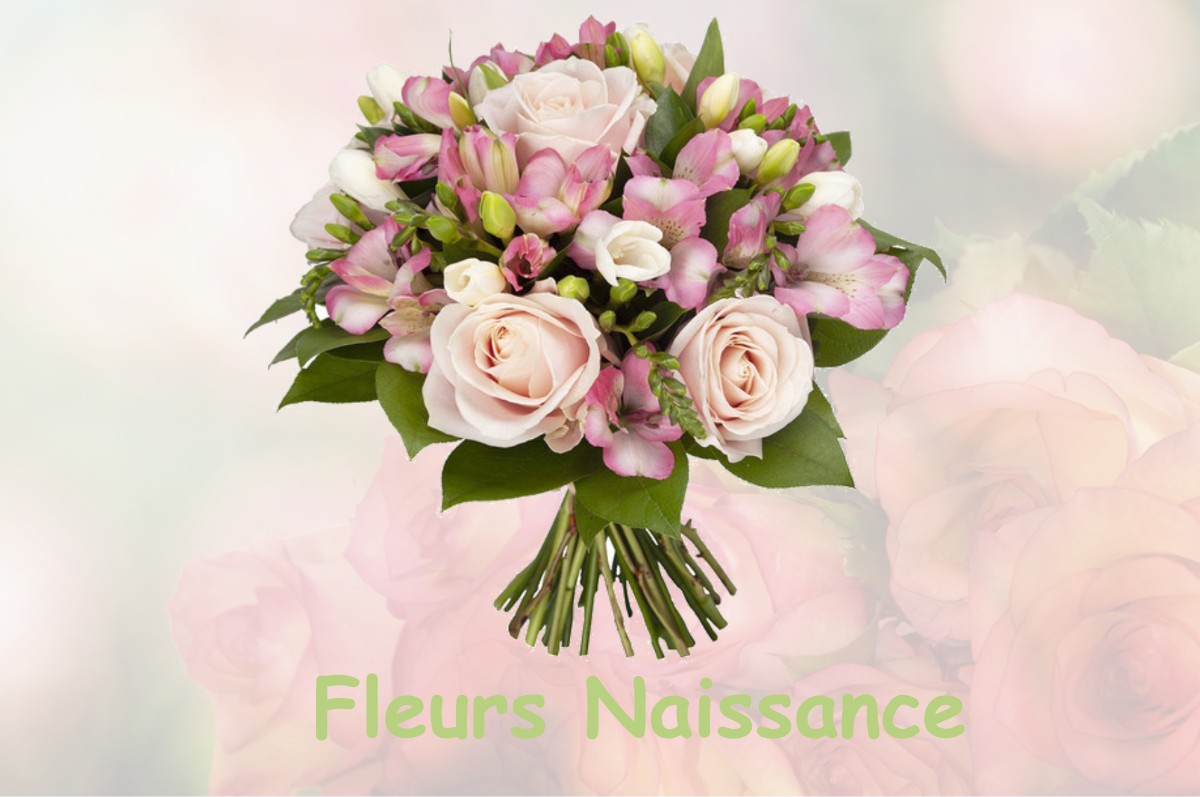 fleurs naissance LANNERAY