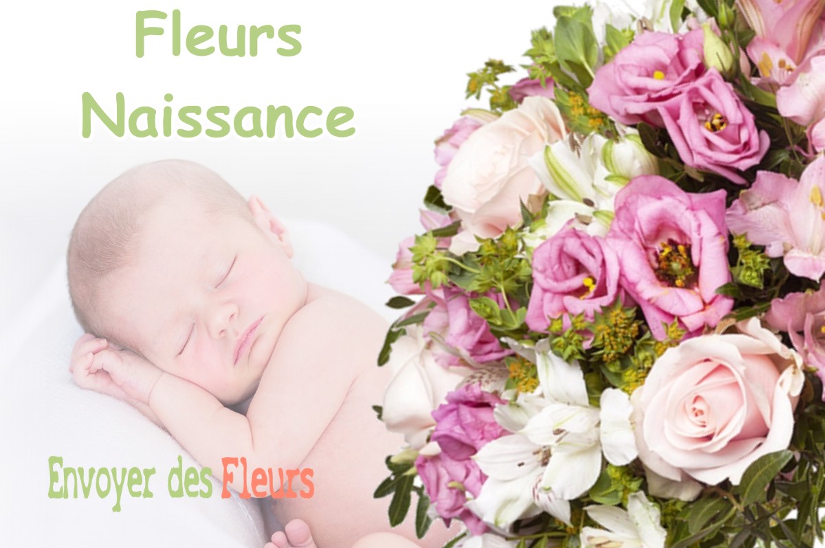 lIVRAISON FLEURS NAISSANCE à LANNERAY